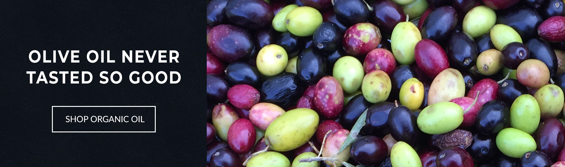 Shop Organic Olive Oil